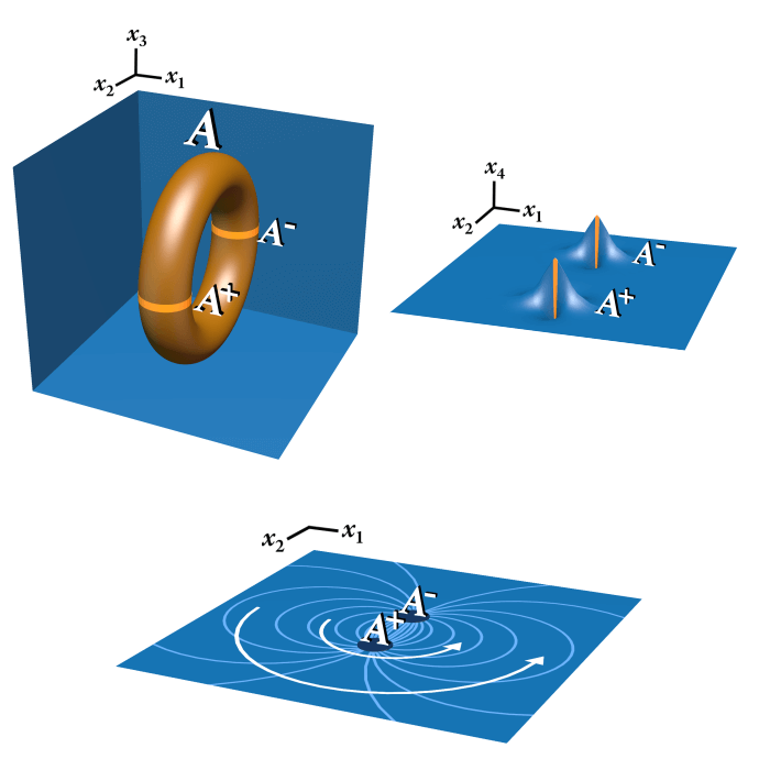 Ferimon knot and toroidal coordinates